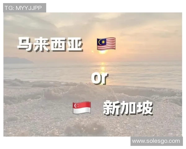 马来西亚对阵新加坡精彩直播全程回顾与赛后分析